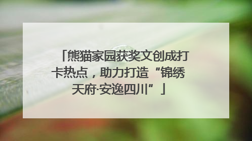 熊猫家园获奖文创成打卡热点，助力打造“锦绣天府·安逸四川”
