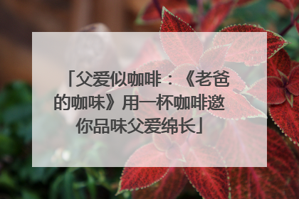 父爱似咖啡：《老爸的咖味》用一杯咖啡邀你品味父爱绵长