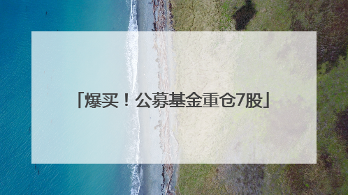 爆买！公募基金重仓7股
