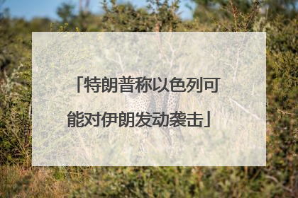 特朗普称以色列可能对伊朗发动袭击