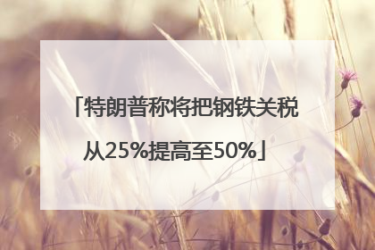 特朗普称将把钢铁关税从25%提高至50%
