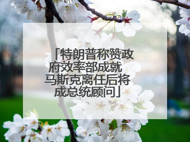 特朗普称赞政府效率部成就 马斯克离任后将成总统顾问