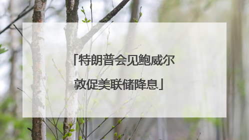 特朗普会见鲍威尔 敦促美联储降息