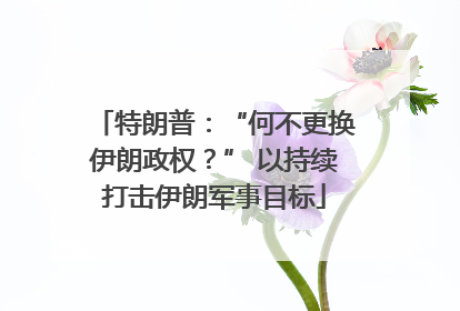 特朗普：“何不更换伊朗政权？” 以持续打击伊朗军事目标
