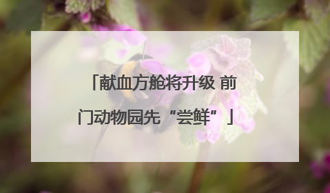 献血方舱将升级 前门动物园先“尝鲜”