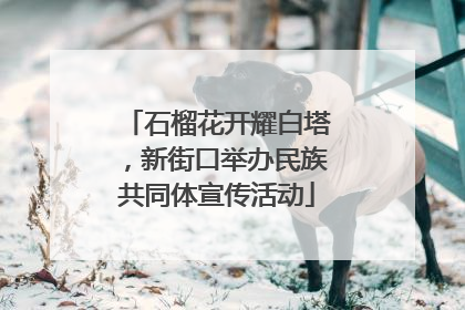 石榴花开耀白塔，新街口举办民族共同体宣传活动