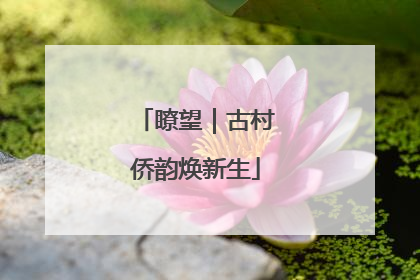 瞭望｜古村侨韵焕新生
