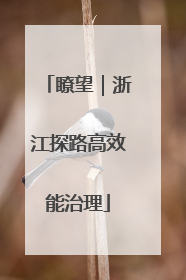 瞭望｜浙江探路高效能治理