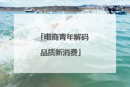 电商青年解码品质新消费