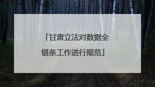 甘肃立法对数据全链条工作进行规范