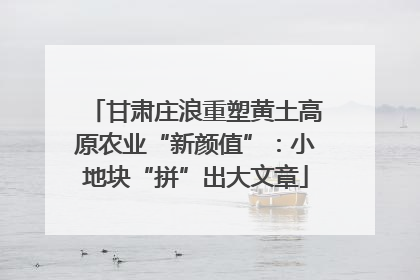甘肃庄浪重塑黄土高原农业“新颜值”：小地块“拼”出大文章