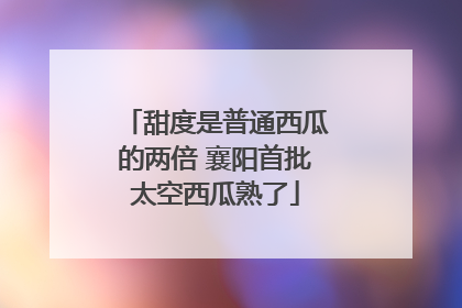 甜度是普通西瓜的两倍 襄阳首批太空西瓜熟了