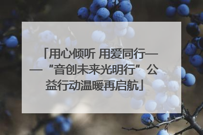 用心倾听 用爱同行——“音创未来光明行”公益行动温暖再启航