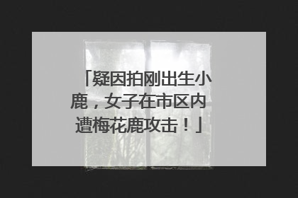 疑因拍刚出生小鹿，女子在市区内遭梅花鹿攻击！
