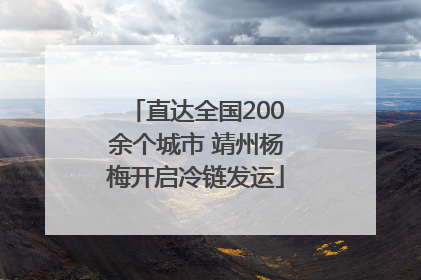 直达全国200余个城市 靖州杨梅开启冷链发运