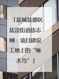 盐城盐都区盐渎街道徐志刚：项目建设工地上的“啄木鸟”
