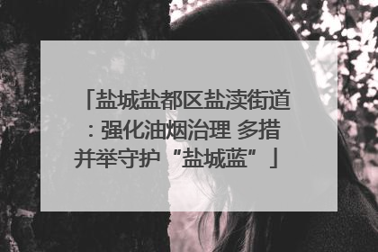 盐城盐都区盐渎街道：强化油烟治理 多措并举守护“盐城蓝”