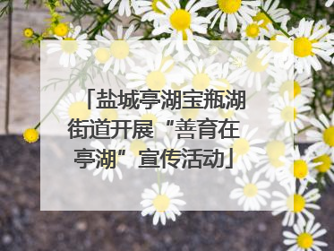 盐城亭湖宝瓶湖街道开展“善育在亭湖”宣传活动