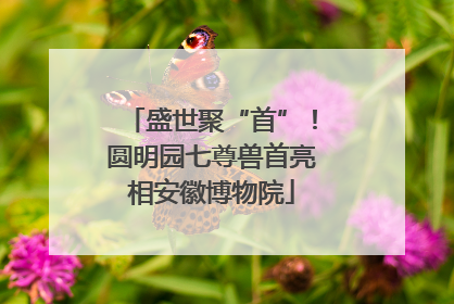 盛世聚“首”！圆明园七尊兽首亮相安徽博物院
