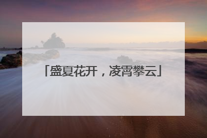 盛夏花开，凌霄攀云