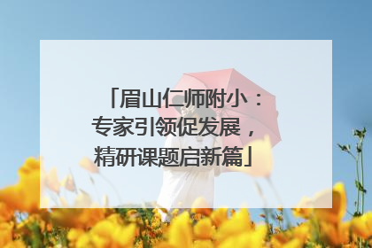 眉山仁师附小：专家引领促发展，精研课题启新篇