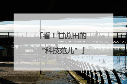 看！甘蔗田的“科技范儿”