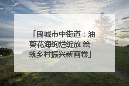 禹城市中街道：油葵花海绚烂绽放 绘就乡村振兴新画卷