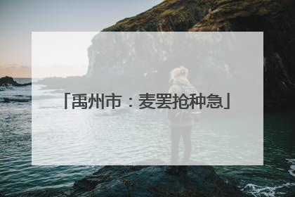 禹州市：麦罢抢种急