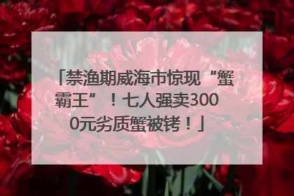 禁渔期威海市惊现“蟹霸王”！七人强卖3000元劣质蟹被铐！