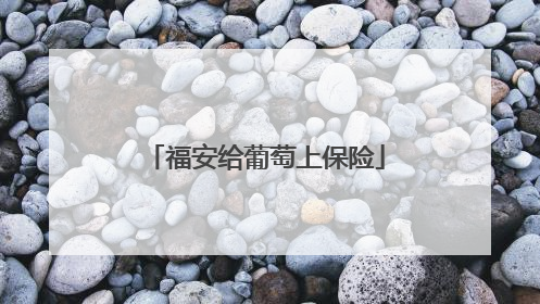 福安给葡萄上保险