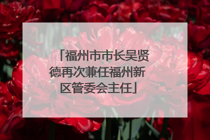 福州市市长吴贤德再次兼任福州新区管委会主任