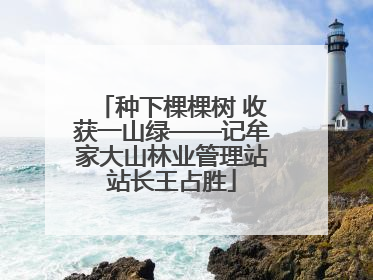 种下棵棵树 收获一山绿——记牟家大山林业管理站站长王占胜