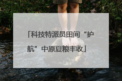 科技特派员田间“护航”中原夏粮丰收