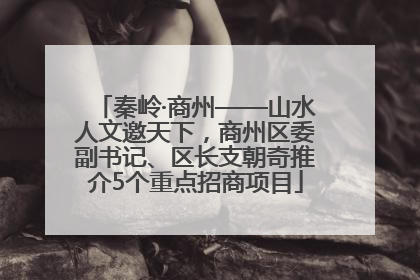秦岭·商州——山水人文邀天下，商州区委副书记、区长支朝奇推介5个重点招商项目