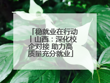 稳就业在行动丨山西：深化校企对接 助力高质量充分就业