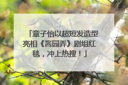 章子怡以超短发造型亮相《酱园弄》剧组红毯，冲上热搜！