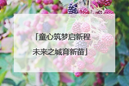 童心筑梦启新程 未来之城育新苗