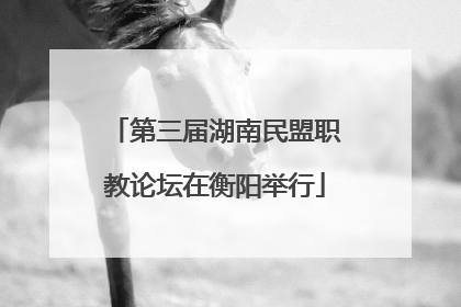 第三届湖南民盟职教论坛在衡阳举行