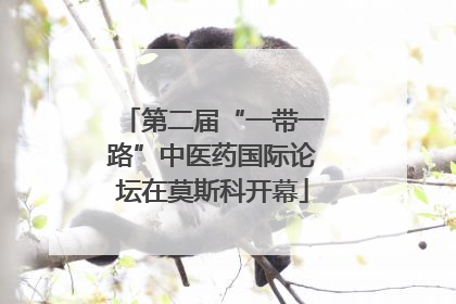 第二届“一带一路”中医药国际论坛在莫斯科开幕