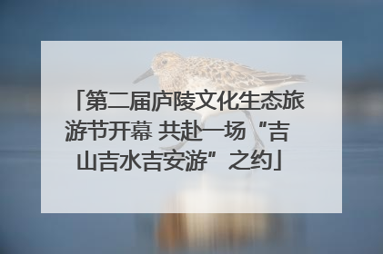 第二届庐陵文化生态旅游节开幕 共赴一场“吉山吉水吉安游”之约
