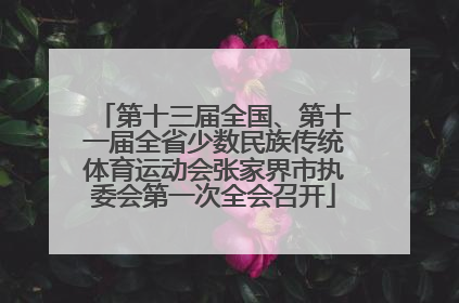 第十三届全国、第十一届全省少数民族传统体育运动会张家界市执委会第一次全会召开