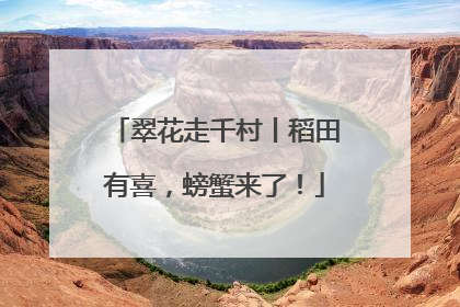 翠花走千村丨稻田有喜，螃蟹来了！