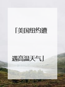 美国纽约遭遇高温天气
