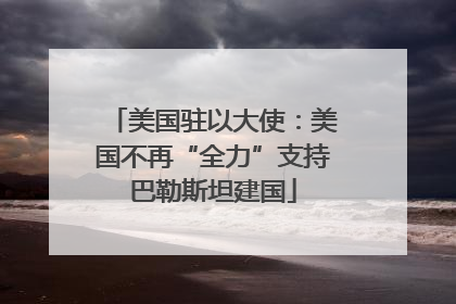 美国驻以大使：美国不再“全力”支持巴勒斯坦建国