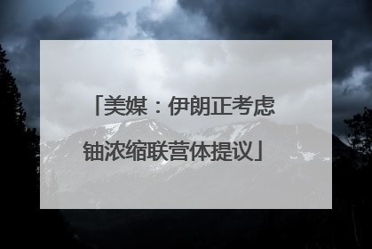 美媒：伊朗正考虑铀浓缩联营体提议