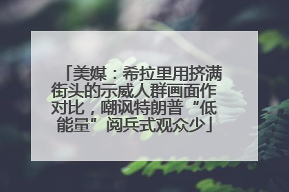 美媒：希拉里用挤满街头的示威人群画面作对比，嘲讽特朗普“低能量”阅兵式观众少