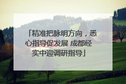 精准把脉明方向，悉心指导促发展 成都经实中迎调研指导