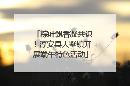 粽叶飘香凝共识！淳安县大墅镇开展端午特色活动