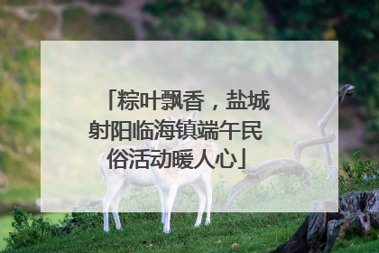 粽叶飘香，盐城射阳临海镇端午民俗活动暖人心