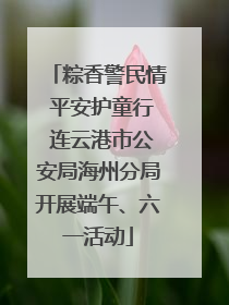 粽香警民情 平安护童行 连云港市公安局海州分局开展端午、六一活动